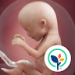 BabyCenter Ma Grossesse BabyCenter Ma Grossesse